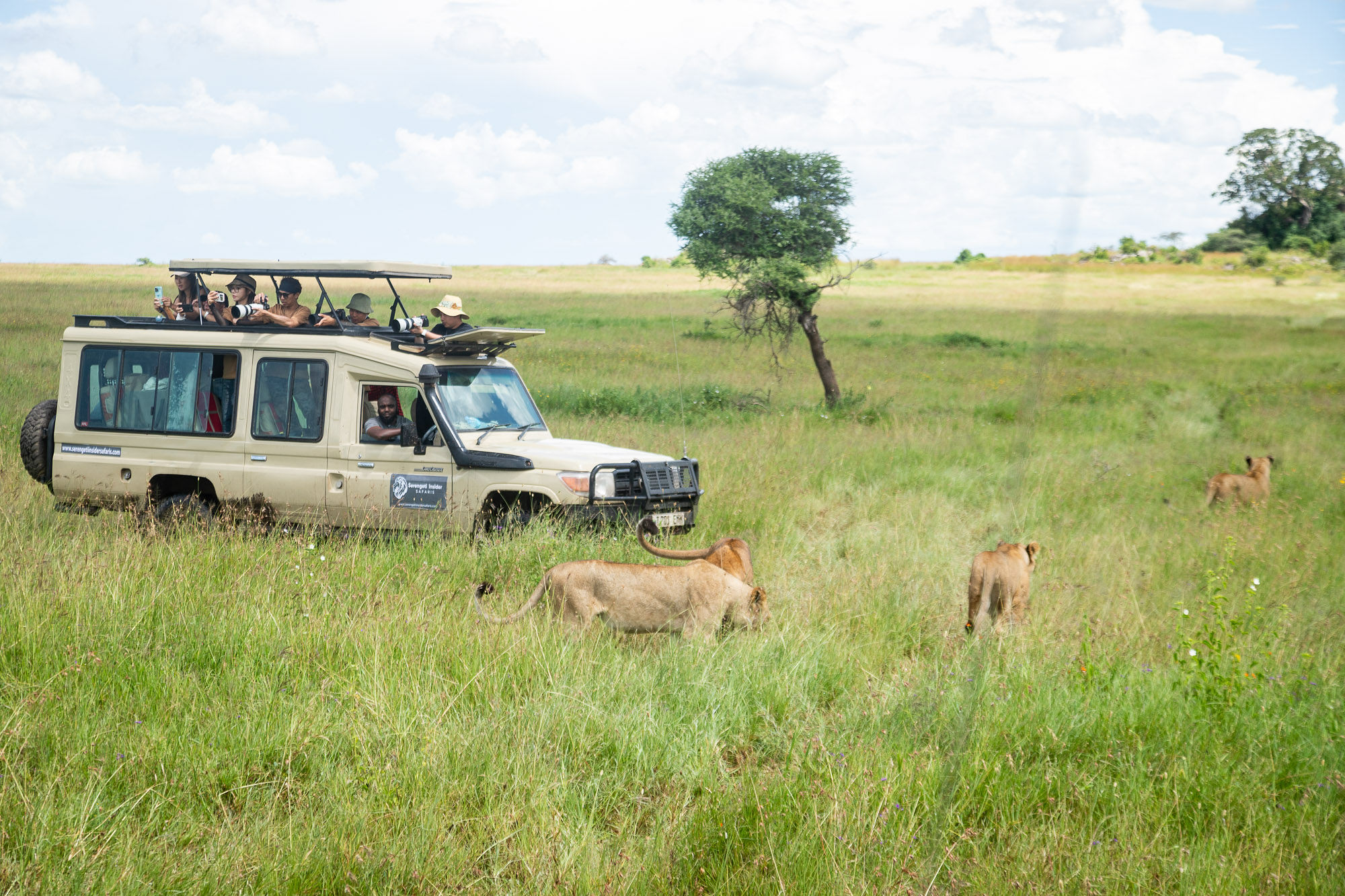 Ndutu Plains