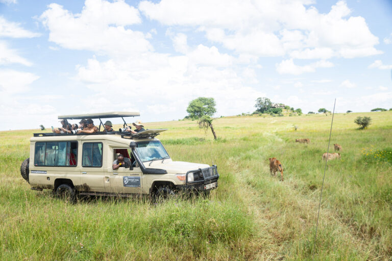 5-Day Private Camping Safari: Tarangire, Serengeti and Ngorongoro Crater