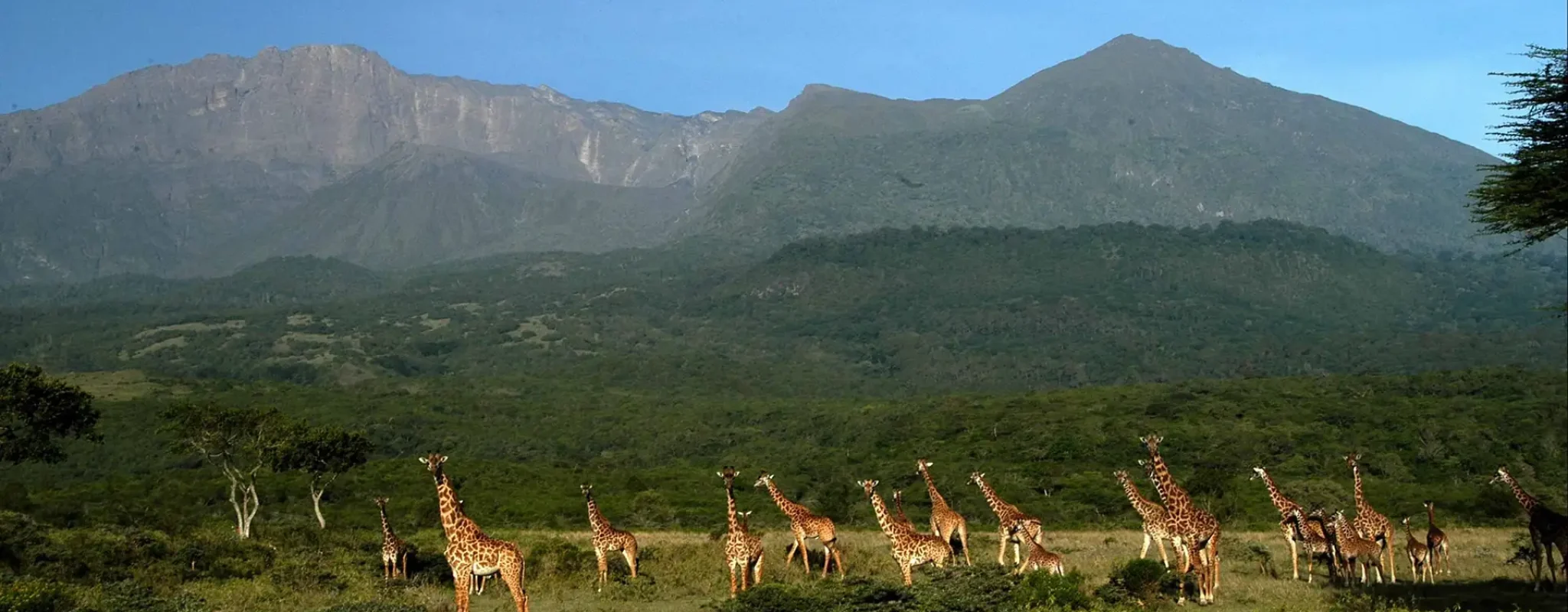 Arusha National Park