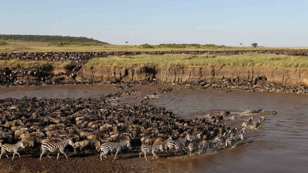 6-Day Private Luxury Safari: Tarangire, Serengeti and Ngorongoro Crater
